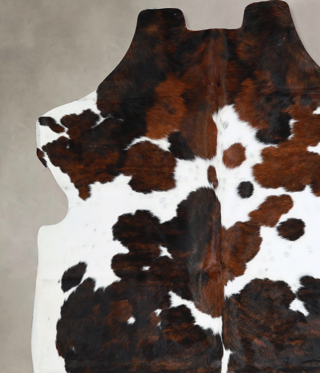Tricolor Large European Cowhide Rug 6'5"H x 6'2"W #A40620 by Hudson Hi
