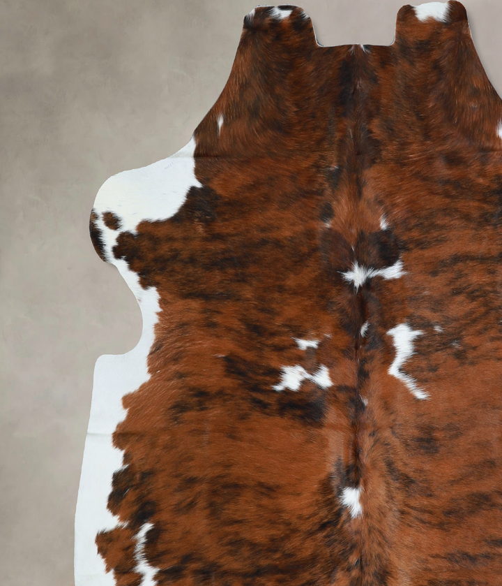 Tricolor X-Large European Cowhide Rug 6'4"H x 6'4"W #A40622 by Hudson Hides