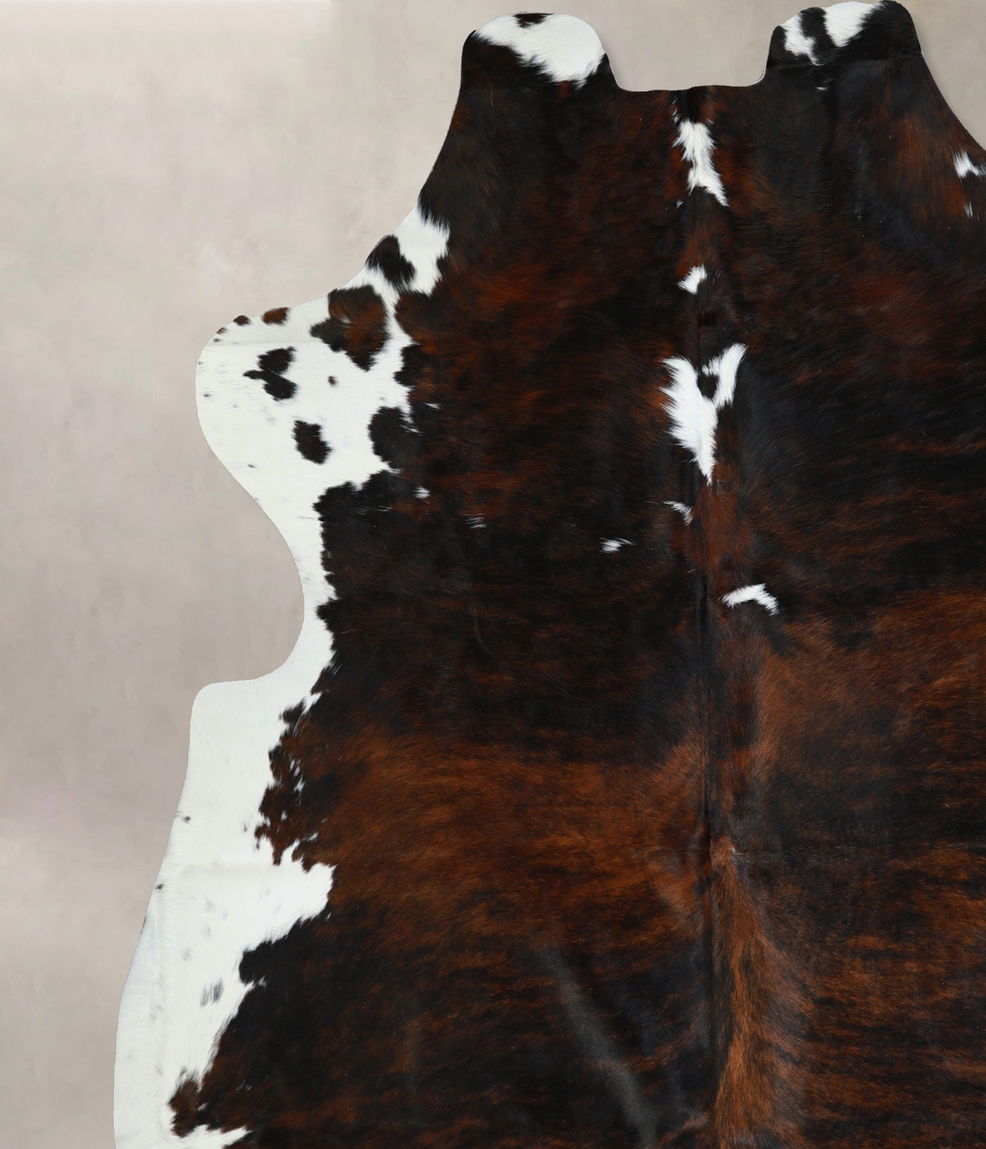 Tricolor X-Large European Cowhide Rug 7'0"H x 7'0"W #A40635 by Hudson 