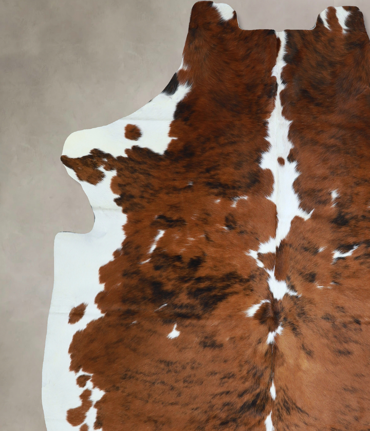 Tricolor X-Large European Cowhide Rug 7'1"H x 6'2"W #A40636 by Hudson Hides