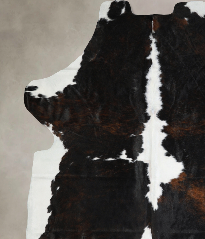 Tricolor X-Large European Cowhide Rug 7'3"H x 6'6"W #A40637 by Hudson Hides