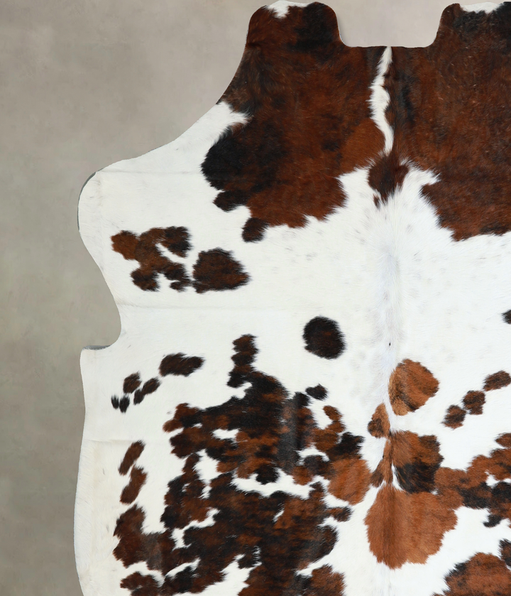 Tricolor X-Large European Cowhide Rug 7'0"H x 6'10"W #A40640 by Hudson Hides