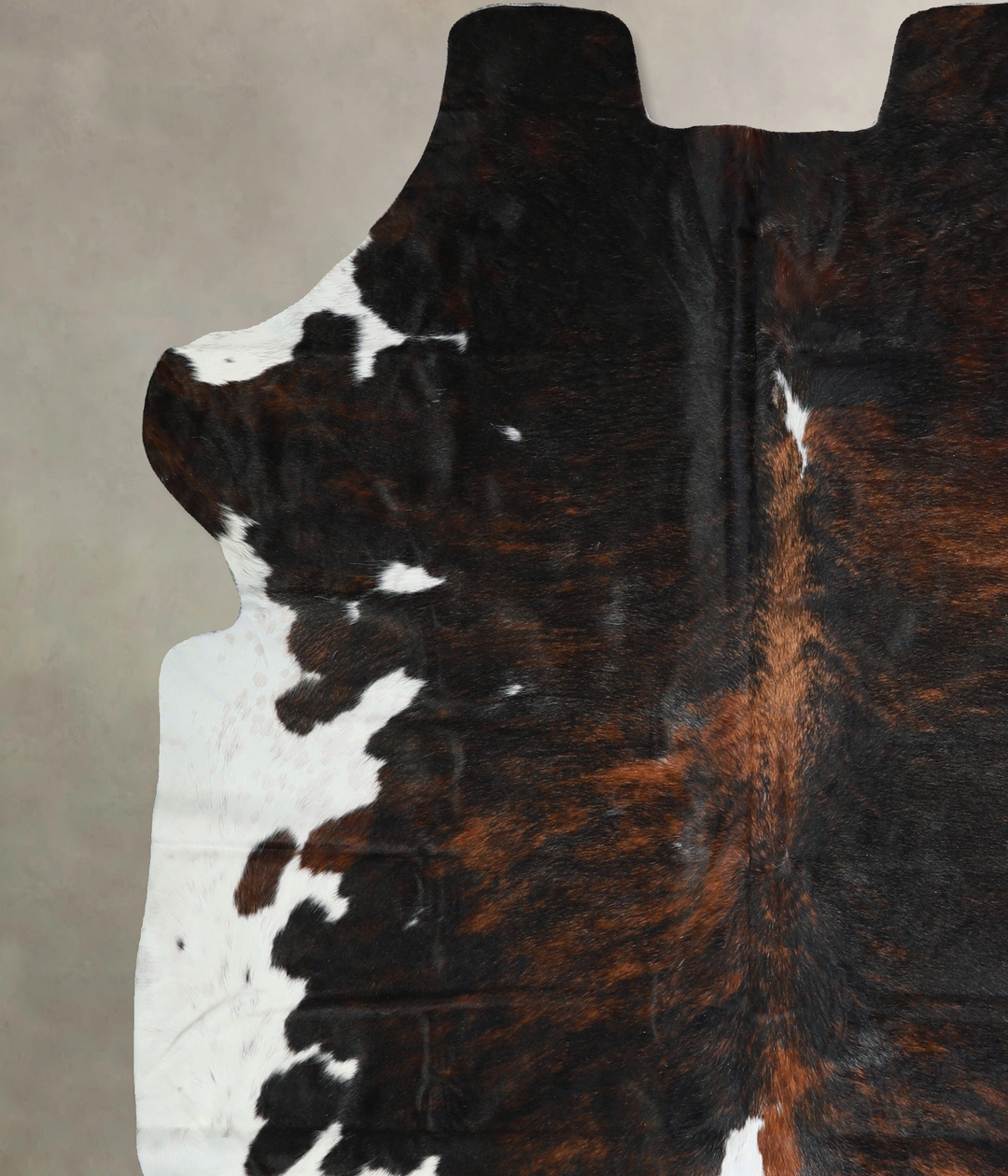 Tricolor X-Large European Cowhide Rug 7'3"H x 6'10"W #A40648 by Hudson