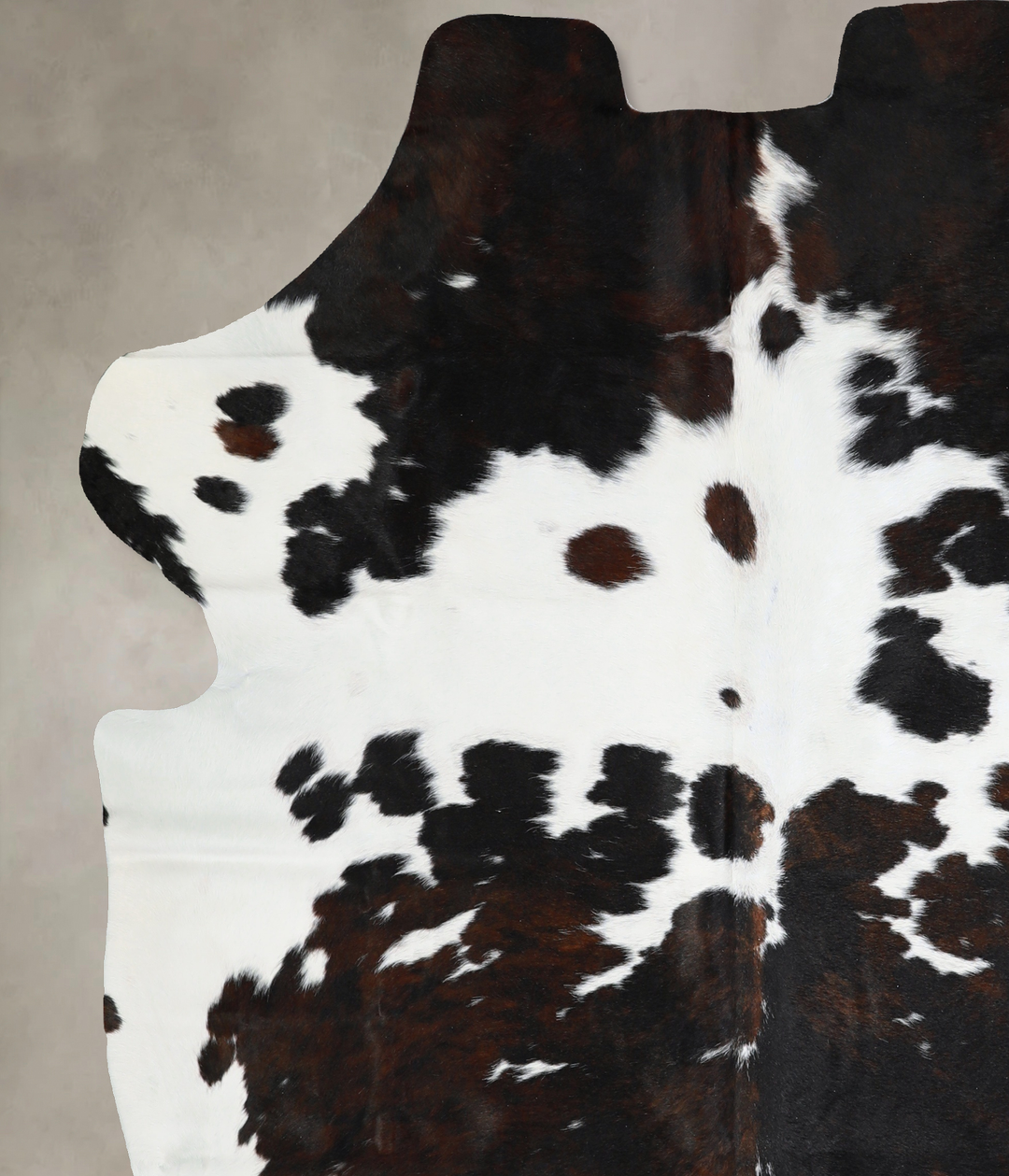 Tricolor X-Large European Cowhide Rug 7'1"H x 6'1"W #A40653 by Hudson 