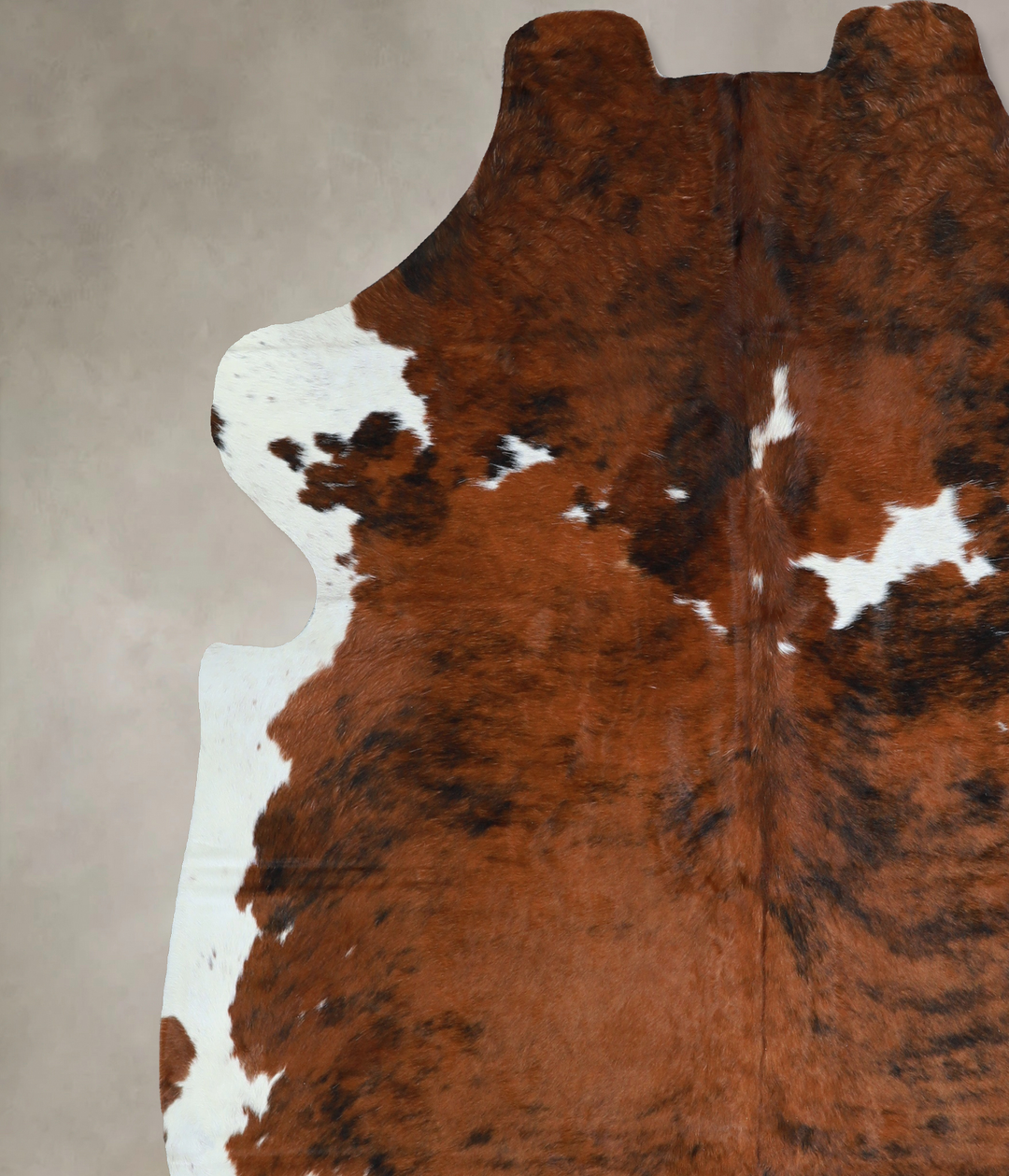 Tricolor X-Large European Cowhide Rug 7'0"H x 6'6"W #A40656 by Hudson 