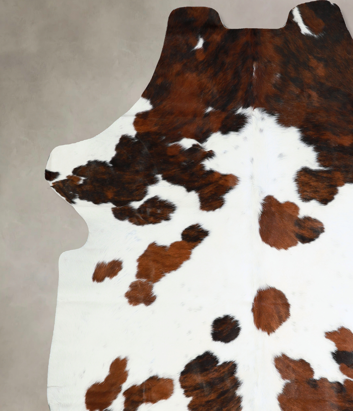 Tricolor X-Large European Cowhide Rug 7'3"H x 6'8"W #A40683 by Hudson Hides