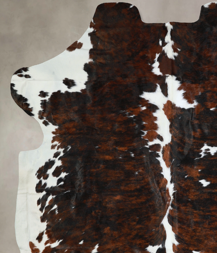 Tricolor X-Large European Cowhide Rug 7'7"H x 6'3"W #A40692 by Hudson Hides