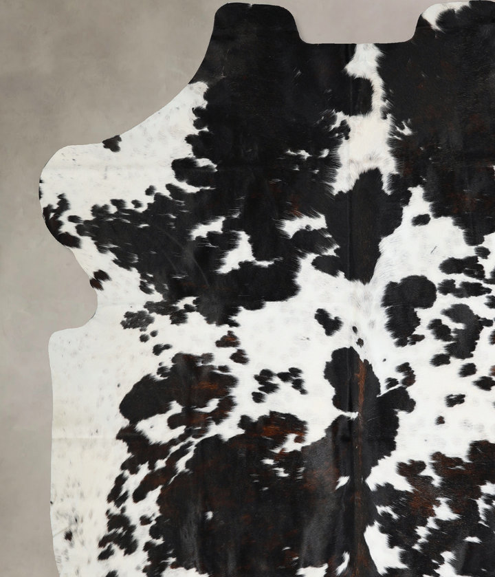 Tricolor X-Large European Cowhide Rug 6'9"H x 6'4"W #A40704 by Hudson Hides