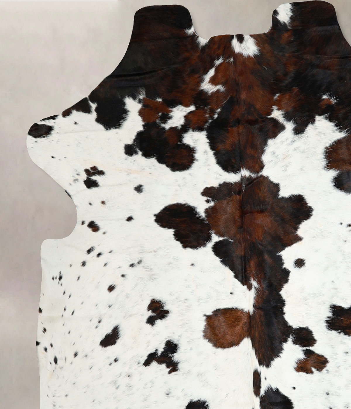 Tricolor X-Large European Cowhide Rug 7'1"H x 6'9"W #A40708 by Hudson Hides