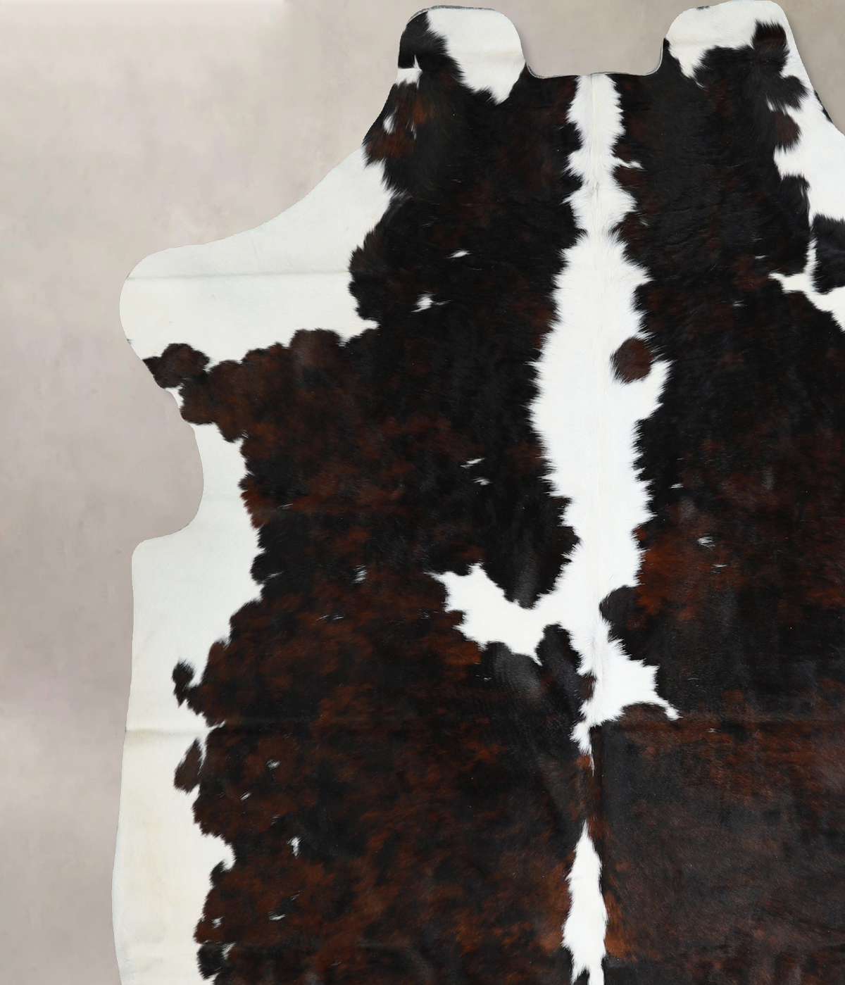 Tricolor X-Large European Cowhide Rug 7'2"H x 6'11"W #A40718 by Hudson Hides