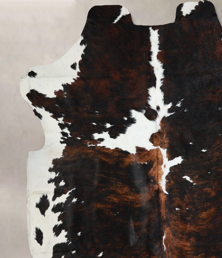Tricolor X-Large European Cowhide Rug 7'1"H x 6'10"W #A40719 by Hudson Hides
