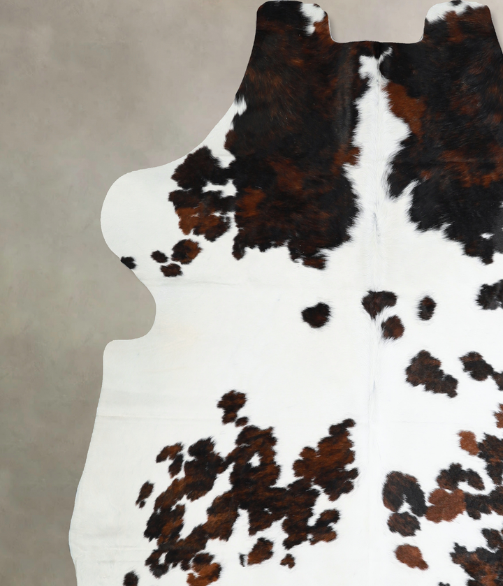 Tricolor X-Large European Cowhide Rug 7'3"H x 6'9"W #A40722 by Hudson Hides