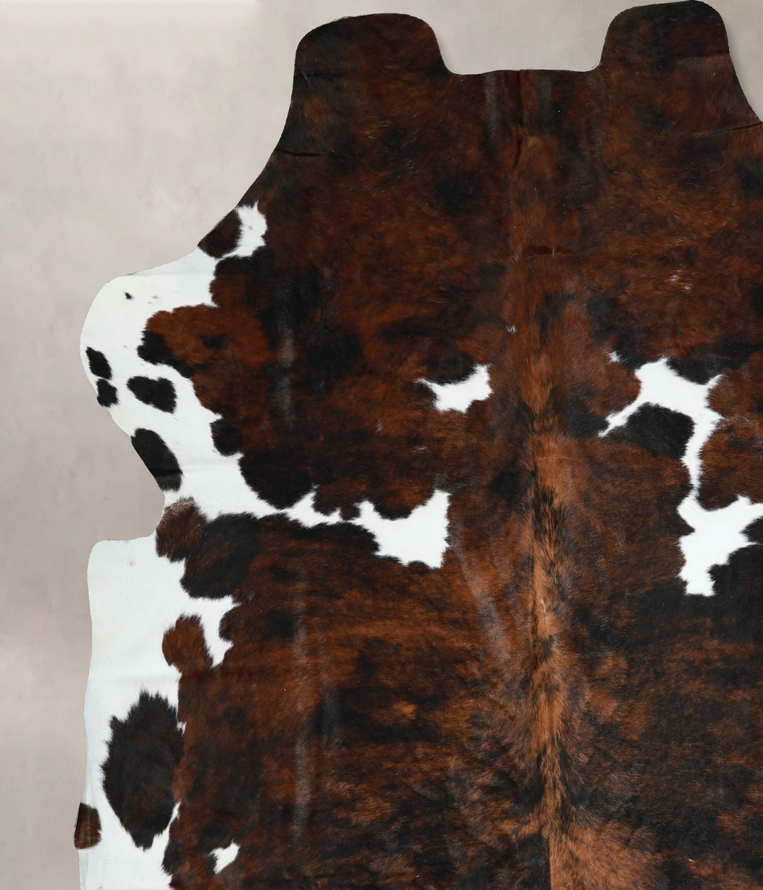 Tricolor X-Large European Cowhide Rug 7'2"H x 6'5"W #A40730 by Hudson 