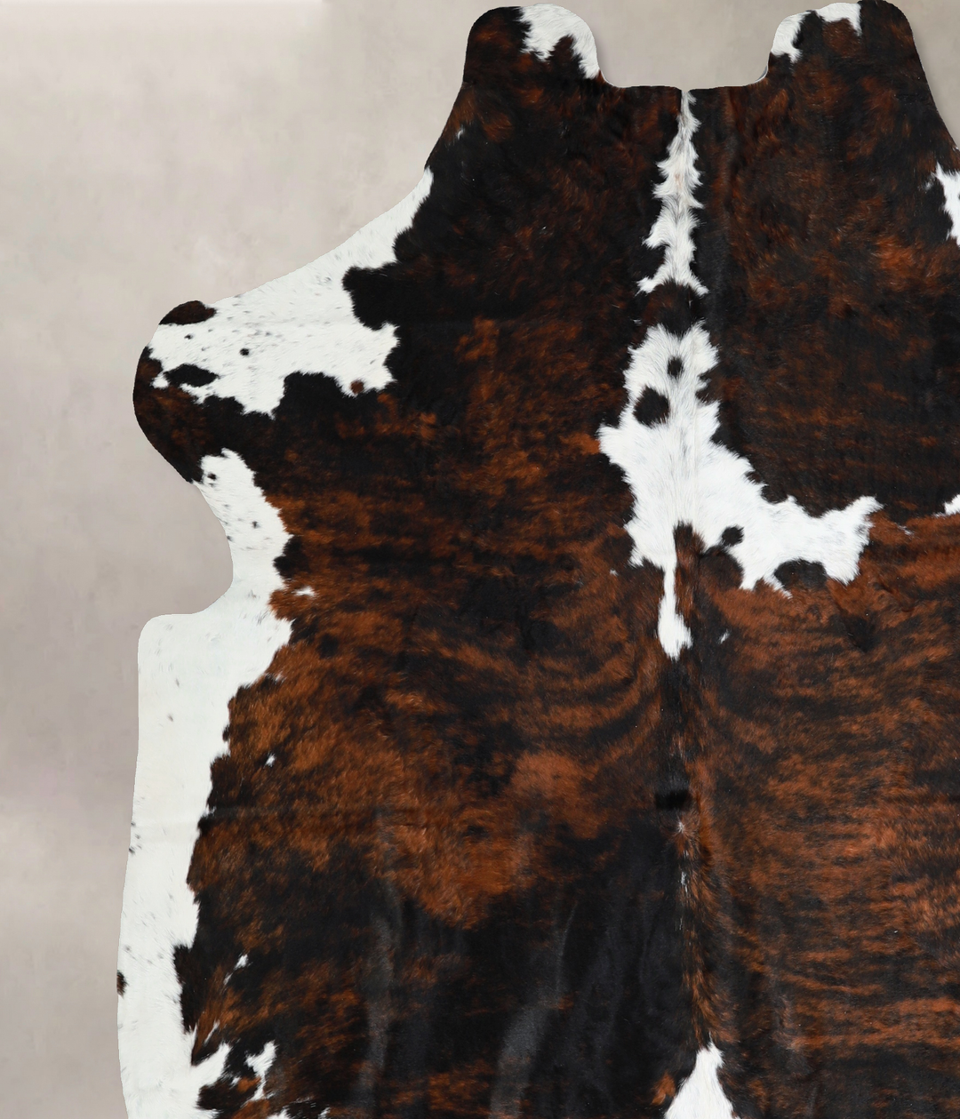 Tricolor X-Large European Cowhide Rug 7'1"H x 6'7"W #A40734 by Hudson 