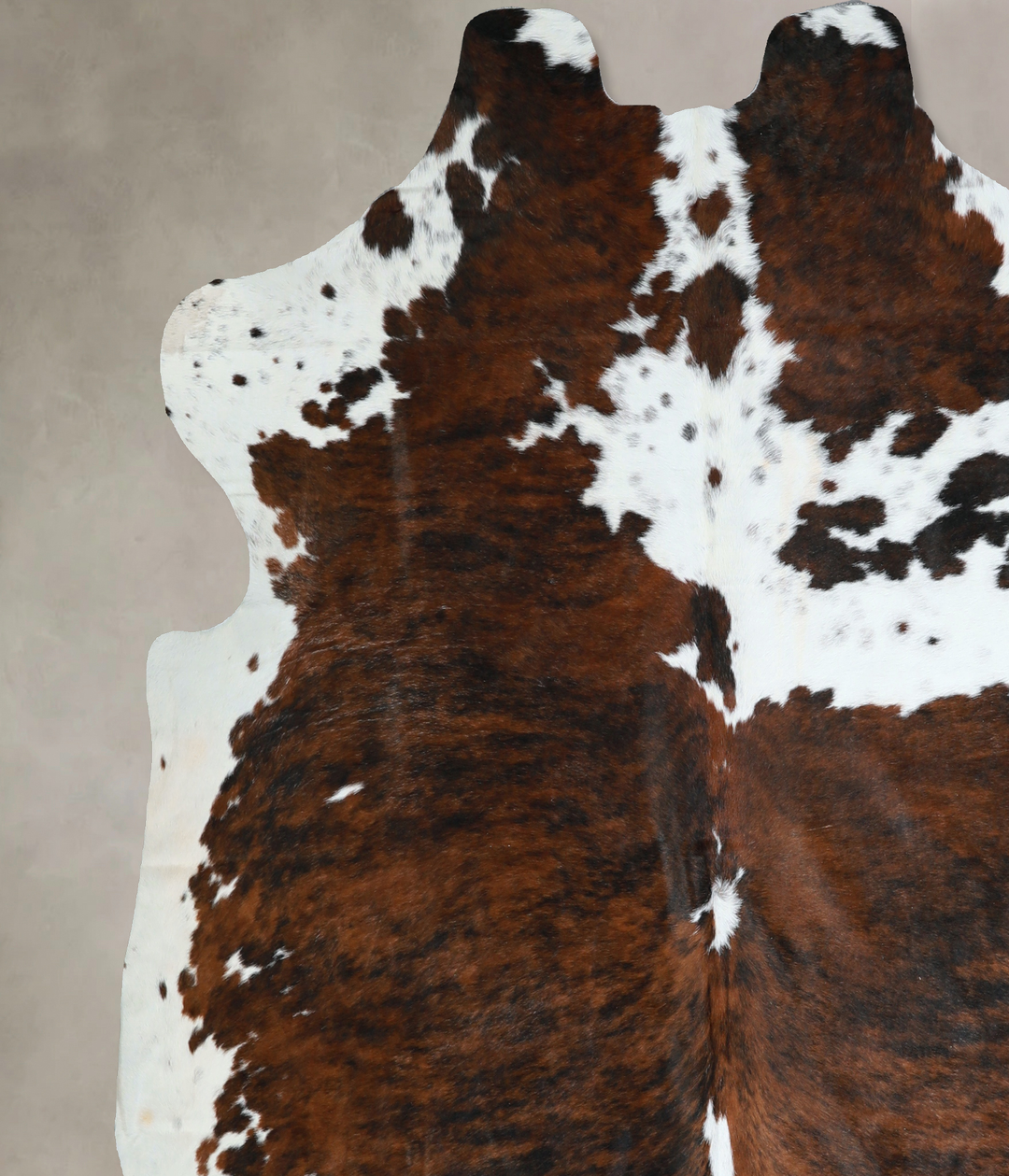 Tricolor X-Large European Cowhide Rug 7'0"H x 6'11"W #A40735 by Hudson