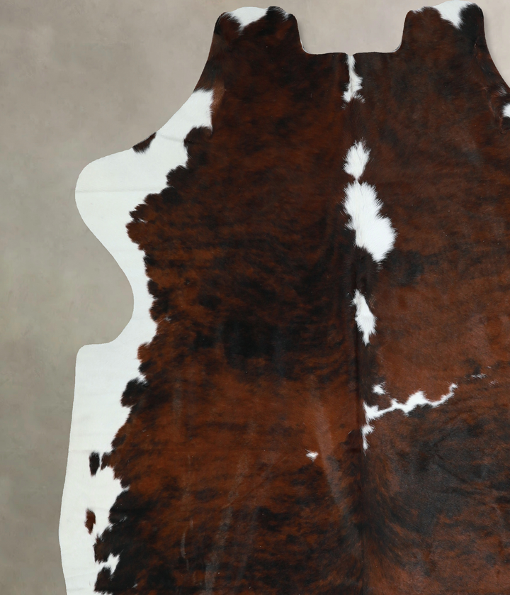 Tricolor X-Large European Cowhide Rug 6'7"H x 6'2"W #A40736 by Hudson Hides