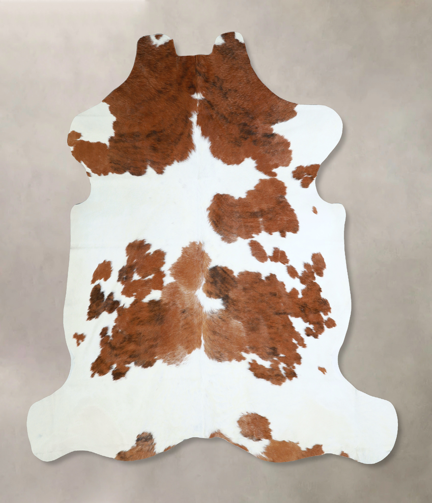Brown and White X-Large Brazilian Cowhide Rug 6'10"H x 6'3"W #A40737 by Hudson Hides
