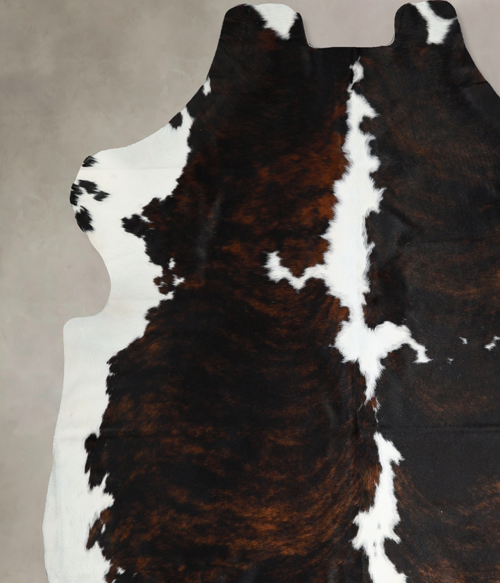 Tricolor X-Large European Cowhide Rug 6'10"H x 6'6"W #A40740 by Hudson Hides