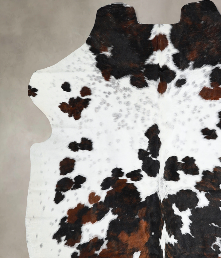 Tricolor Large European Cowhide Rug 6'3"H x 5'11"W #A40751 by Hudson Hides