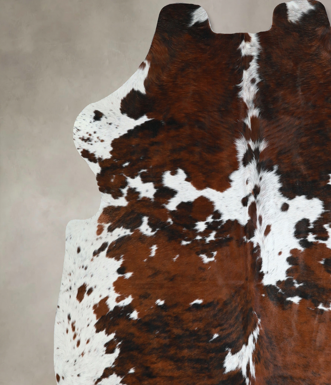 Tricolor X-Large European Cowhide Rug 6'6"H x 6'5"W #A40752 by Hudson 