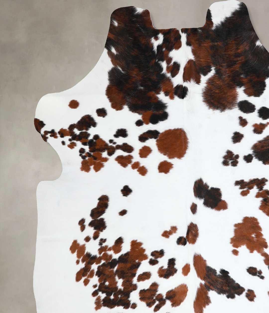Tricolor Large European Cowhide Rug 6'4"H x 6'2"W #A40753 by Hudson Hi
