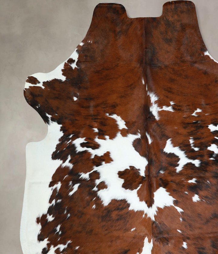 Tricolor X-Large European Cowhide Rug 6'7"H x 6'1"W #A40758 by Hudson Hides