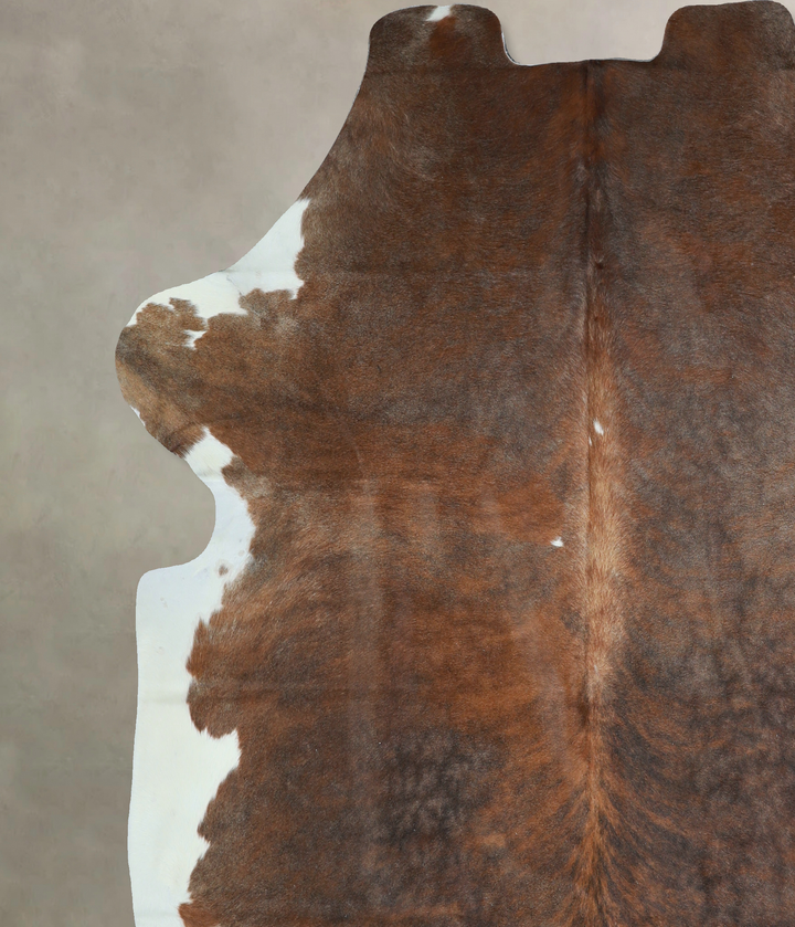 Tricolor X-Large European Cowhide Rug 7'0"H x 6'11"W #A40769 by Hudson Hides
