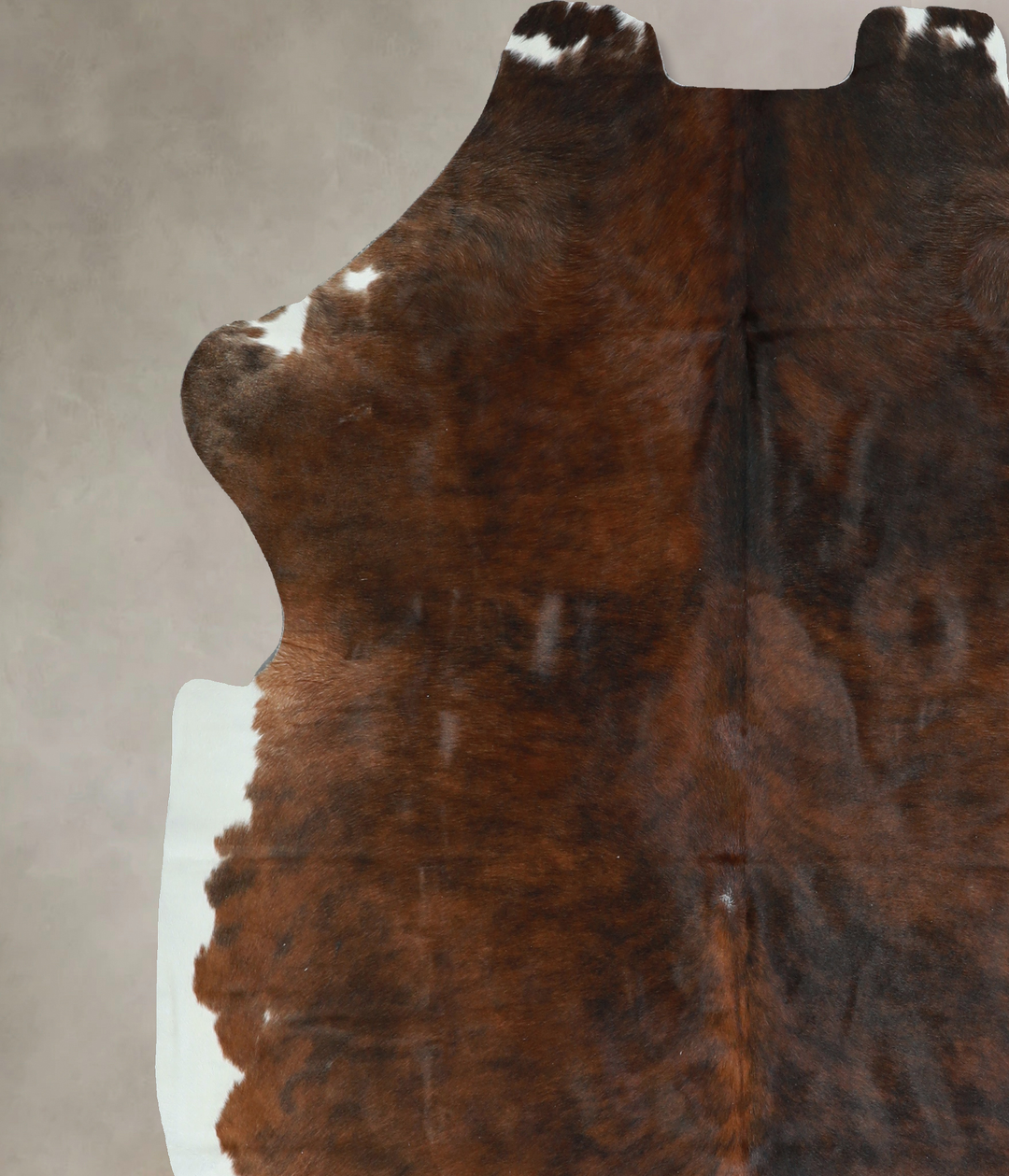 Tricolor X-Large European Cowhide Rug 6'7"H x 6'1"W #A40771 by Hudson 