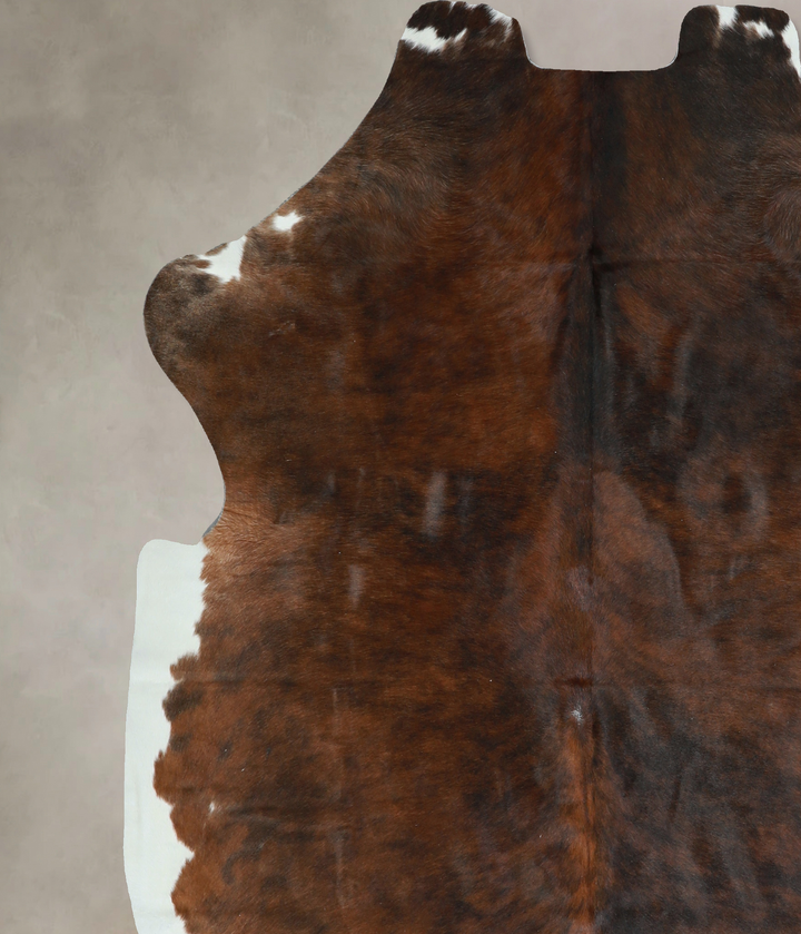 Tricolor X-Large European Cowhide Rug 6'7"H x 6'1"W #A40771 by Hudson Hides