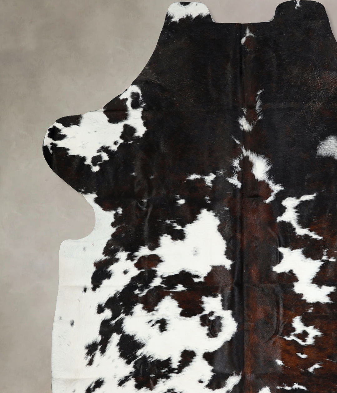 Tricolor XX-Large European Cowhide Rug 7'5"H x 6'11"W #A40776 by Hudso