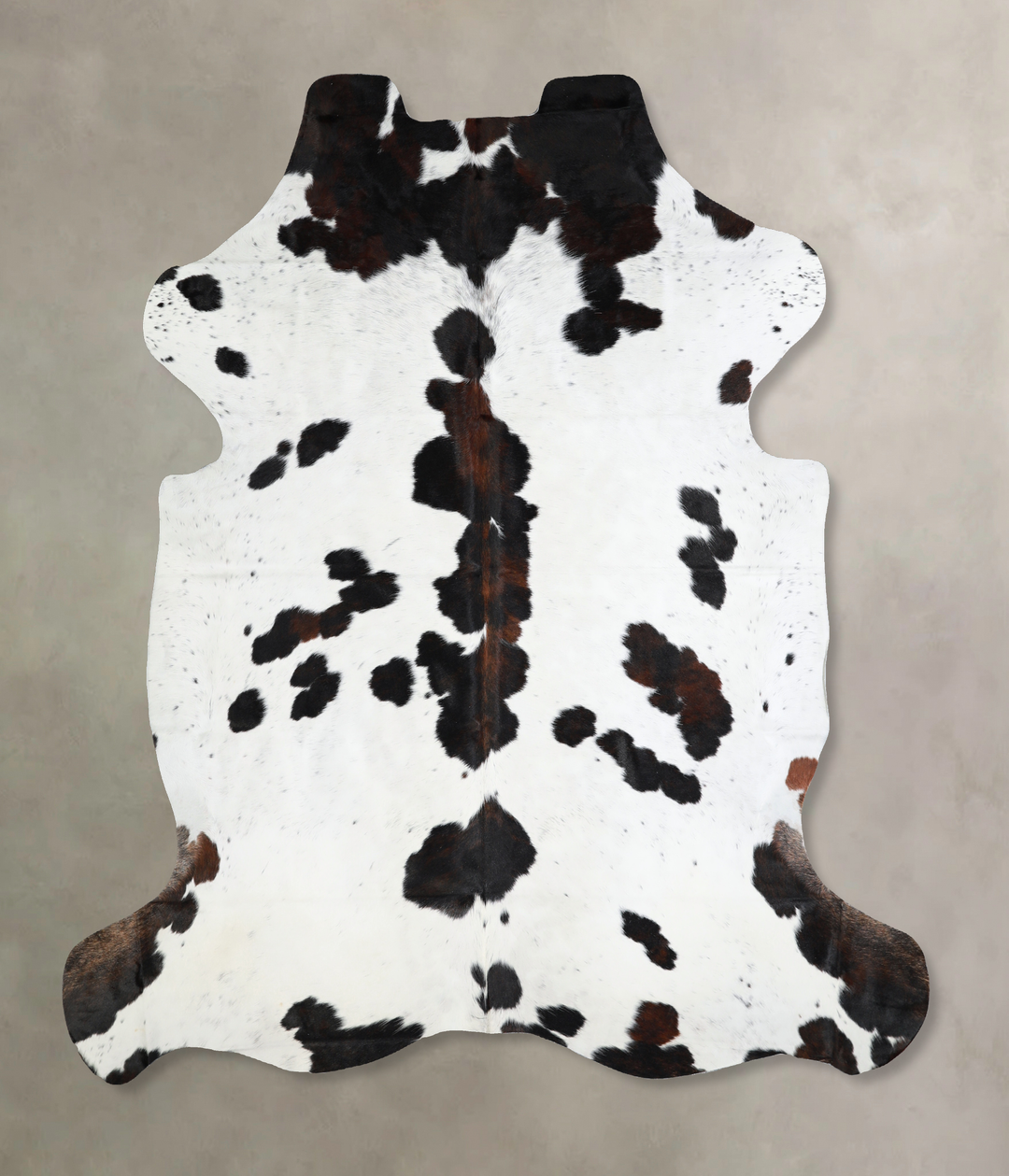 Tricolor X-Large European Cowhide Rug 7'3"H x 6'7"W #A40780 by Hudson 