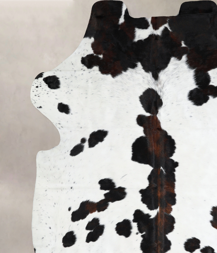 Tricolor X-Large European Cowhide Rug 7'3"H x 6'7"W #A40780 by Hudson Hides