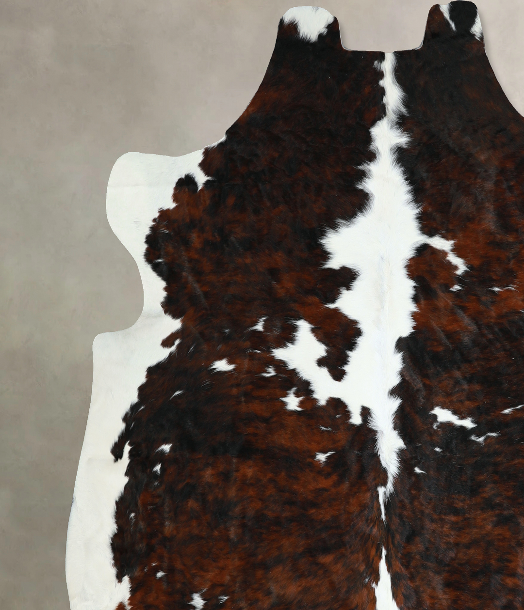 Tricolor X-Large European Cowhide Rug 7'0"H x 7'2"W #A40781 by Hudson 