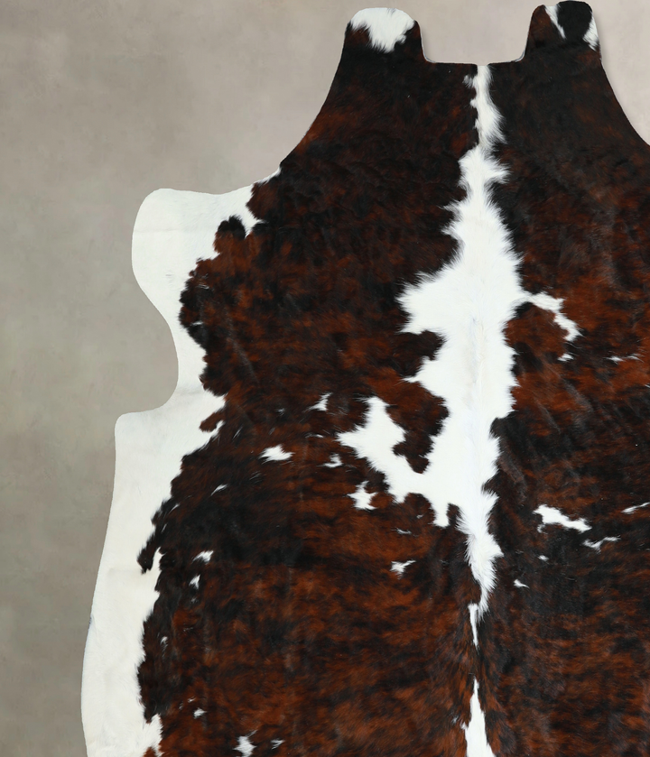 Tricolor X-Large European Cowhide Rug 7'0"H x 7'2"W #A40781 by Hudson Hides