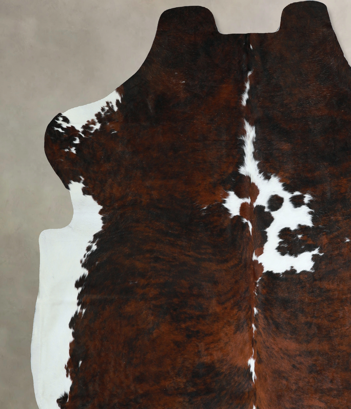 Tricolor X-Large European Cowhide Rug 7'1"H x 6'8"W #A40782 by Hudson Hides
