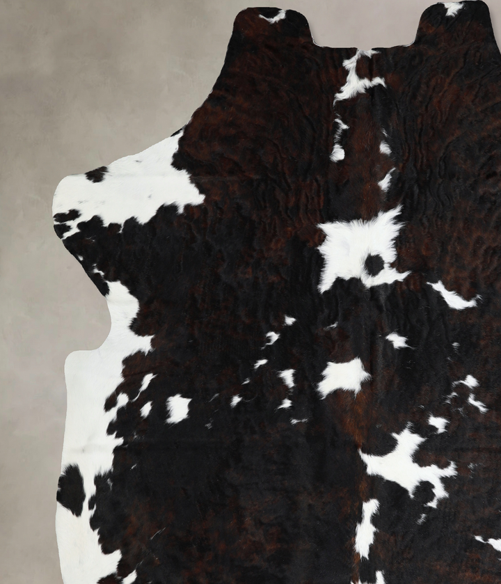 Tricolor X-Large European Cowhide Rug 7'0"H x 6'4"W #A40783 by Hudson Hides