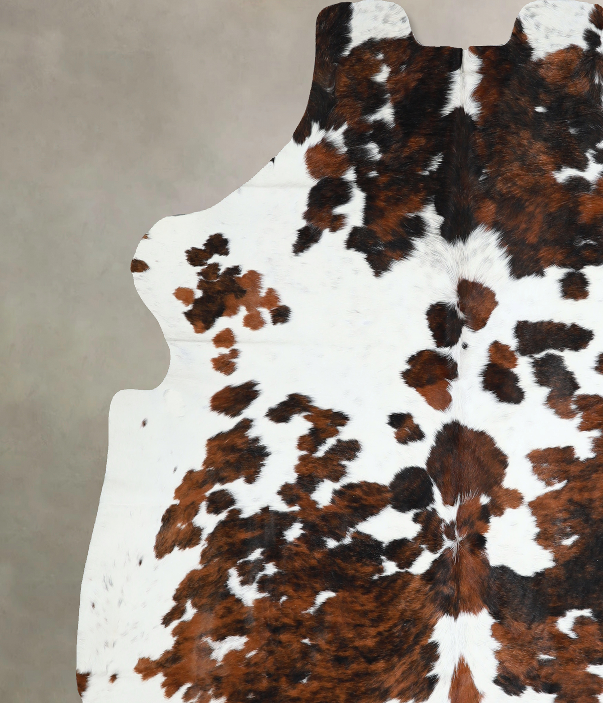 Tricolor X-Large European Cowhide Rug 7'2"H x 6'4"W #A40786 by Hudson Hides