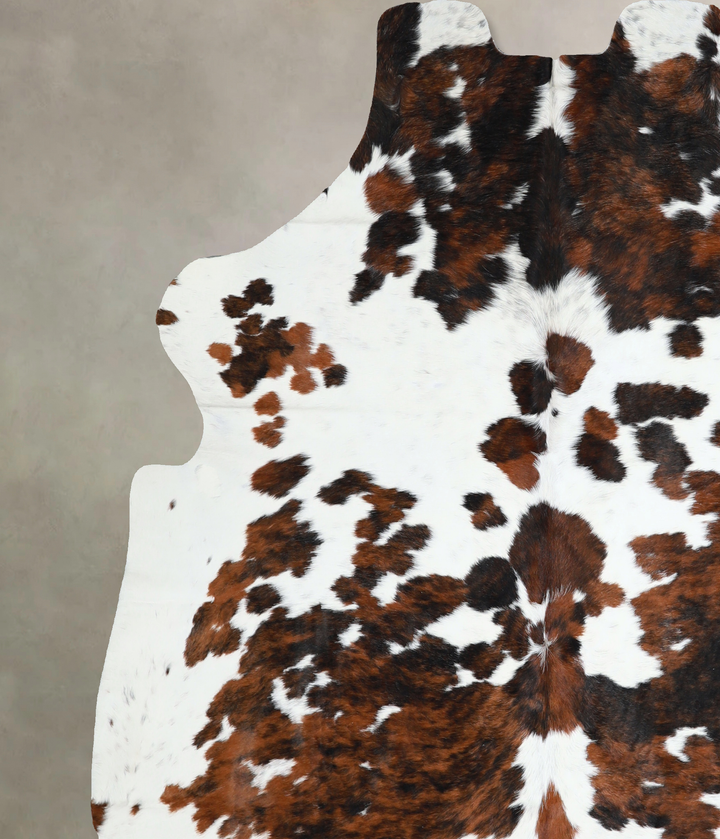 Tricolor X-Large European Cowhide Rug 7'2"H x 6'4"W #A40786 by Hudson Hides