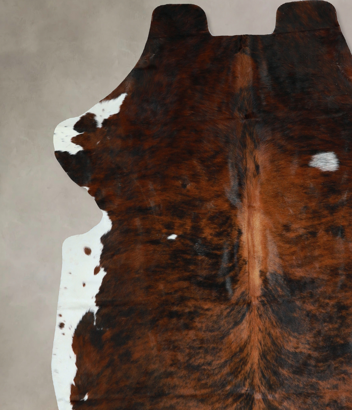 Tricolor X-Large European Cowhide Rug 6'9"H x 6'6"W #A40791 by Hudson Hides