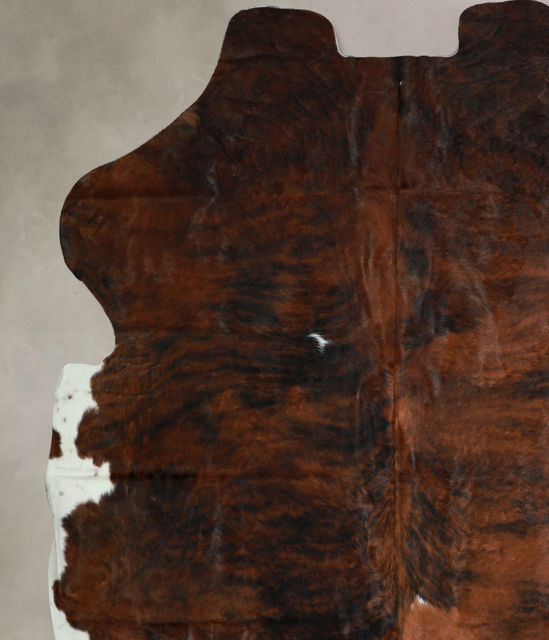 Tricolor X-Large European Cowhide Rug 6'10"H x 6'5"W #A40795 by Hudson