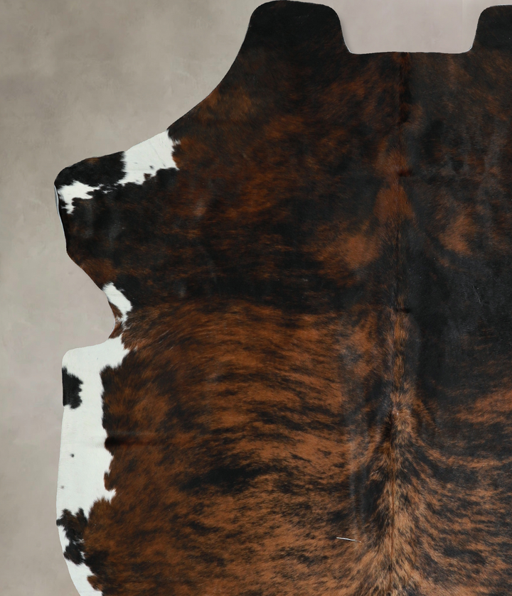 Tricolor X-Large European Cowhide Rug 6'10"H x 6'1"W #A40797 by Hudson Hides