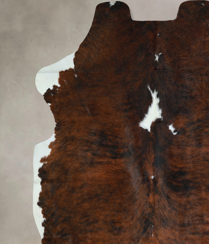 Tricolor X-Large European Cowhide Rug 6'11"H x 6'5"W #A40799 by Hudson Hides