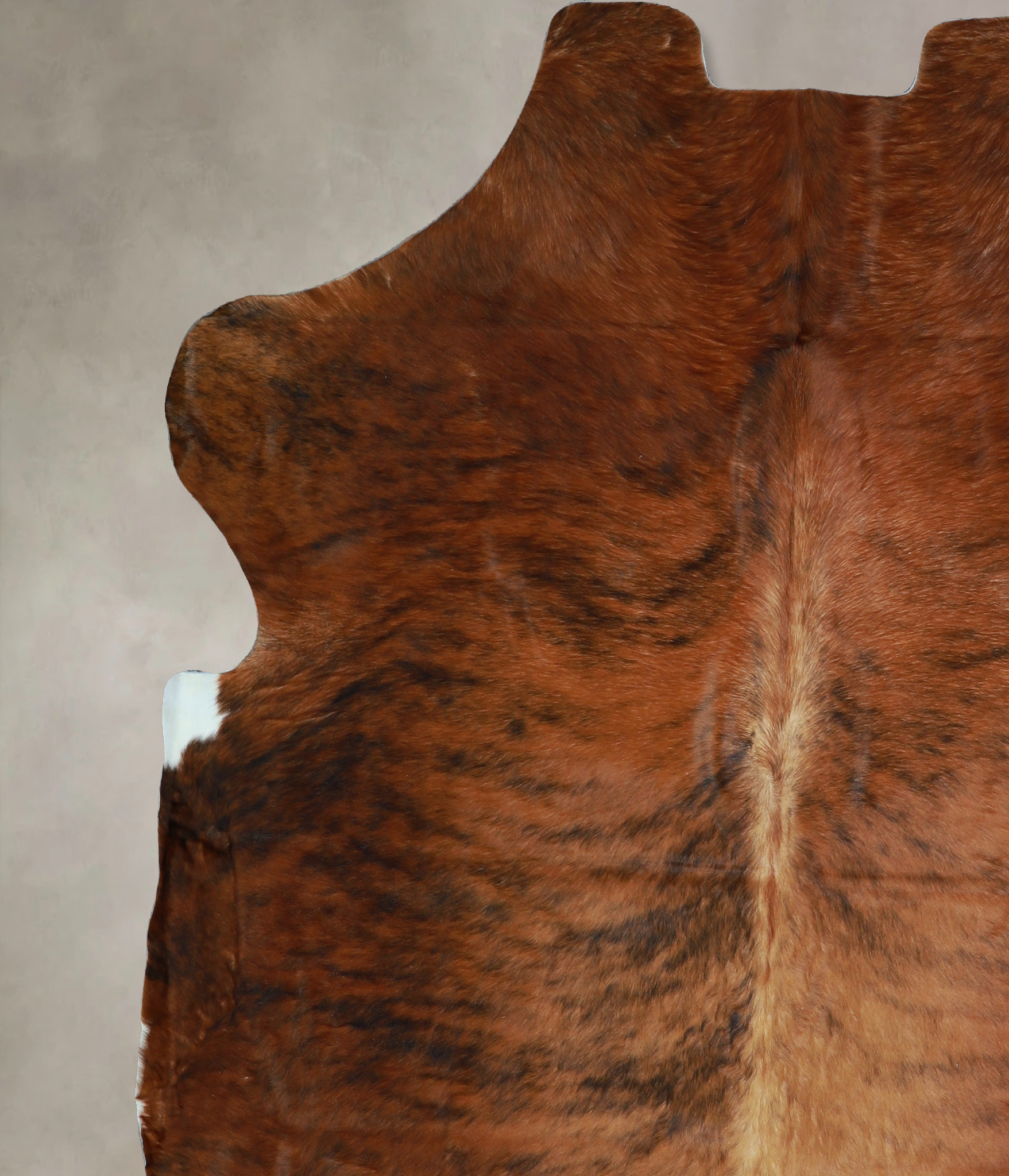 Medium Brindle Cowhide Rug #A40800