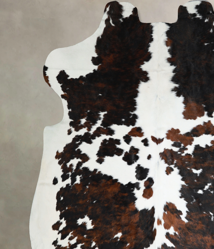 Tricolor XX-Large European Cowhide Rug 7'1"H x 7'3"W #A40802 by Hudson Hides