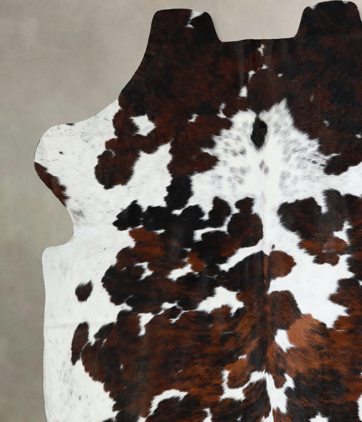 Tricolor X-Large European Cowhide Rug 7'3"H x 6'8"W #A40804 by Hudson Hides