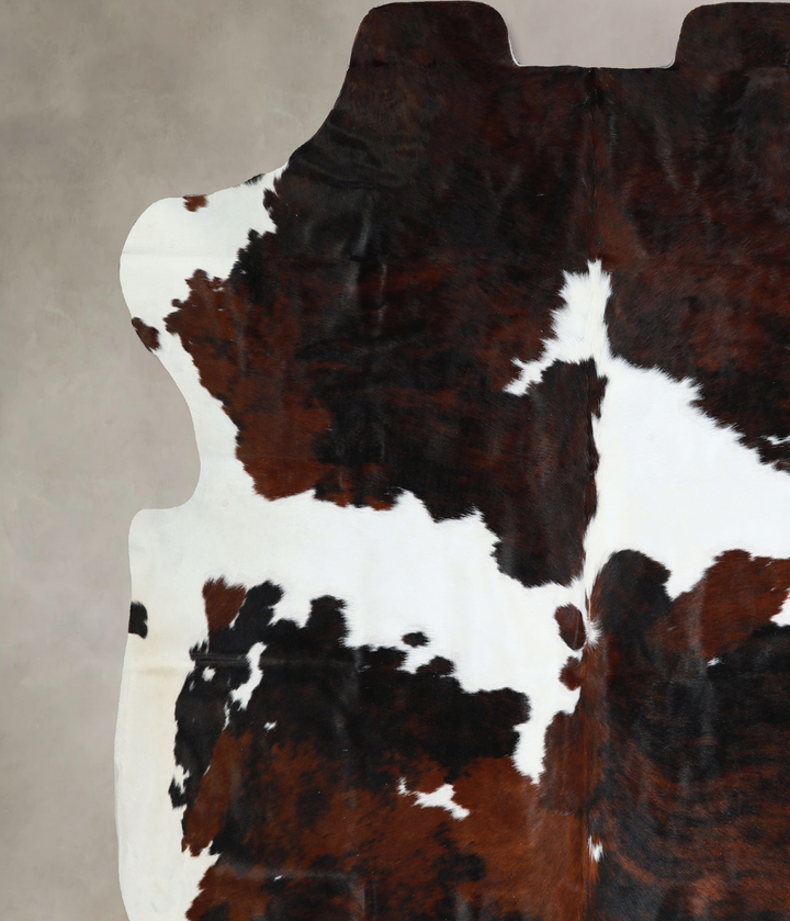 Tricolor X-Large European Cowhide Rug 7'1"H x 6'8"W #A40805 by Hudson Hides