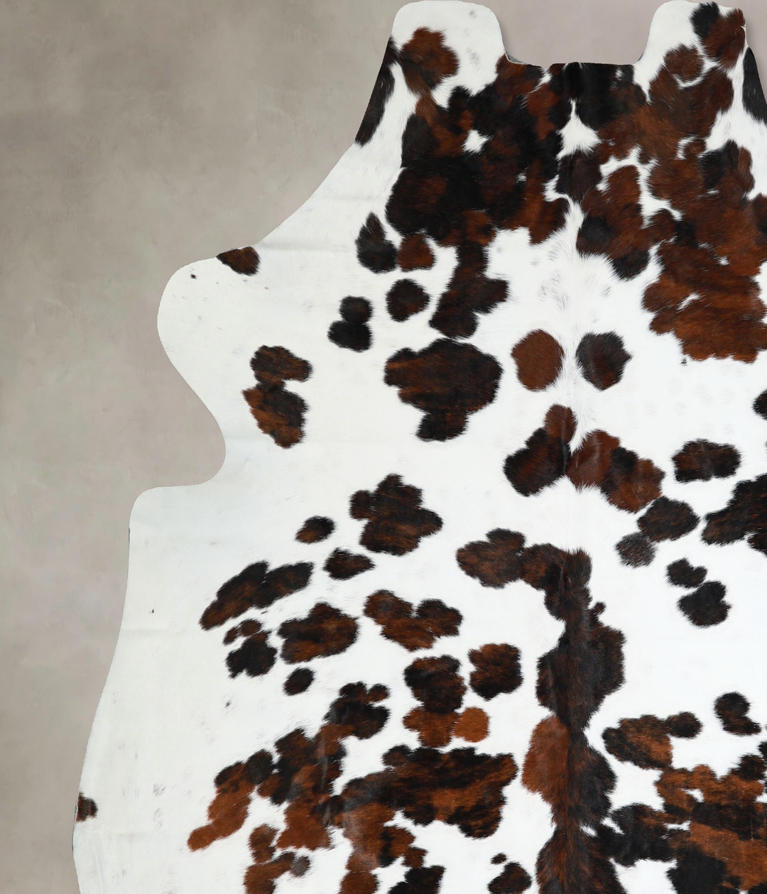Tricolor XX-Large European Cowhide Rug 7'6"H x 7'1"W #A40816 by Hudson