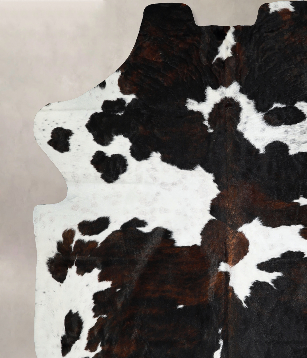 Tricolor X-Large European Cowhide Rug 7'6"H x 6'7"W #A40818 by Hudson 