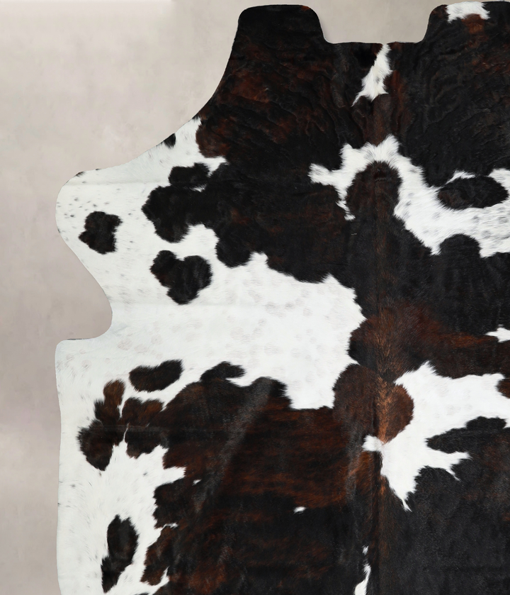 Tricolor X-Large European Cowhide Rug 7'6"H x 6'7"W #A40818 by Hudson Hides