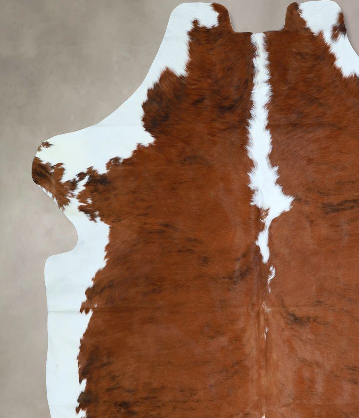 Tricolor X-Large European Cowhide Rug 7'3"H x 6'7"W #A40824 by Hudson Hides